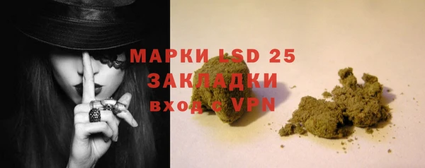 spice Гусь-Хрустальный