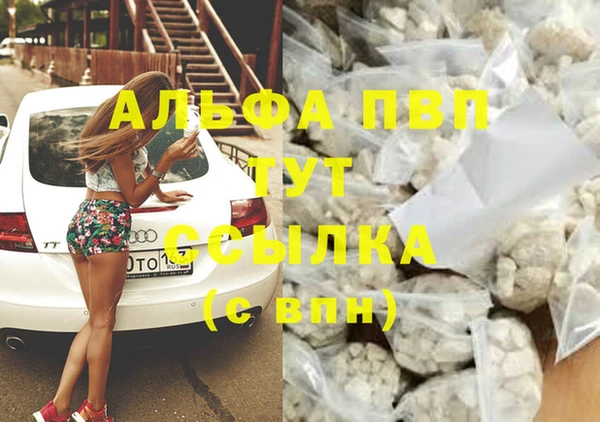 мяу мяу мука Дмитриев