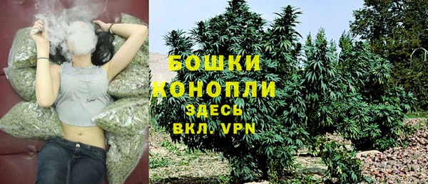 spice Гусь-Хрустальный