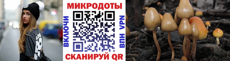 купить закладку  OMG как войти  Псилоцибиновые грибы MAGIC MUSHROOMS  Чкаловск 